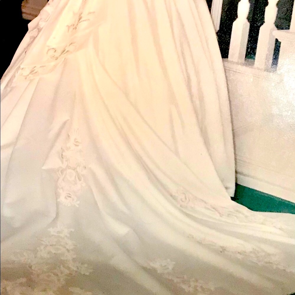 This Gown Is A Ball ! - Picture 10 of 11